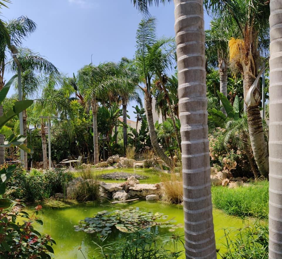 Garden Luxury Apartment Ayia Napa Eksteriør billede